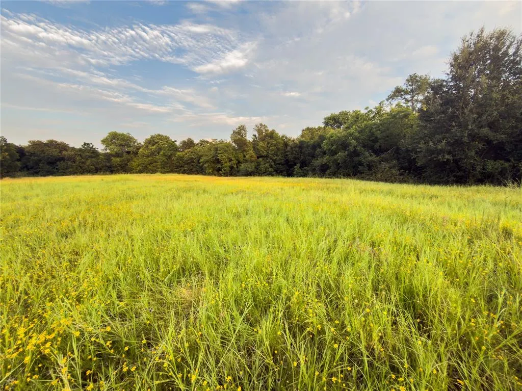 Lot 4 Wilson Road