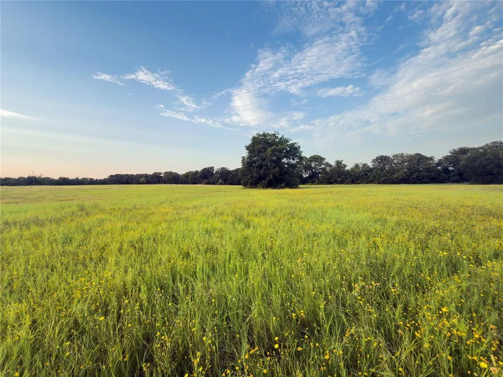 Lot 10 Wilson Road