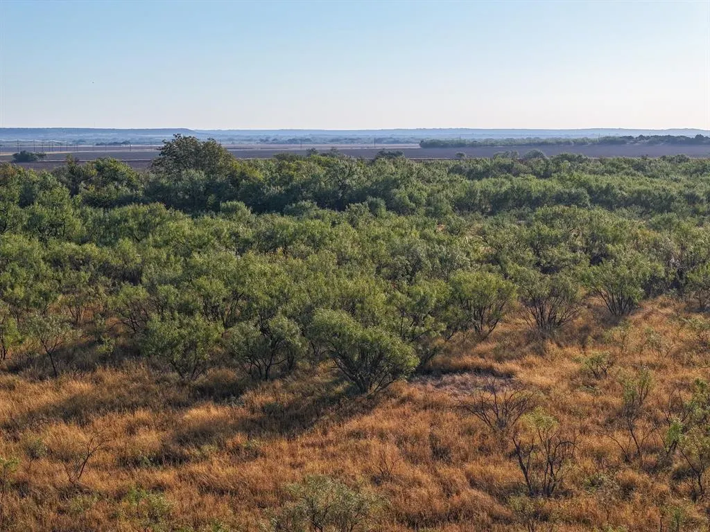 TBD Tract 2 Badger Den