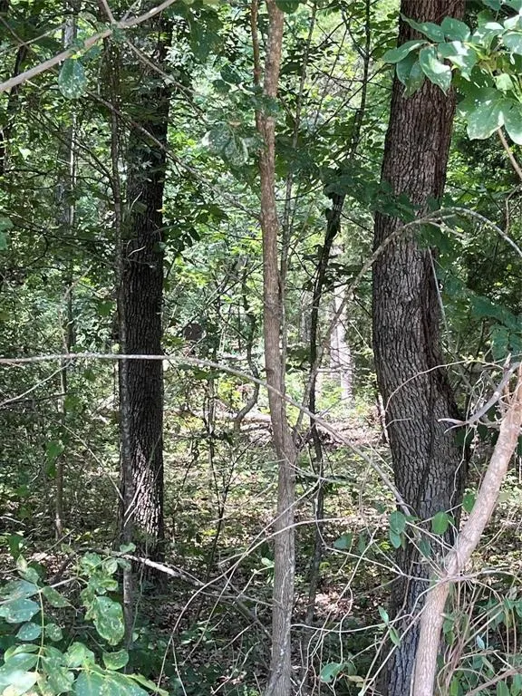 106 Red Bluff Loop
