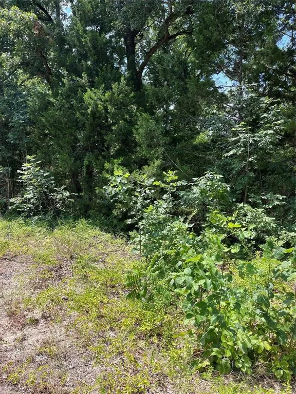 106 Red Bluff Loop