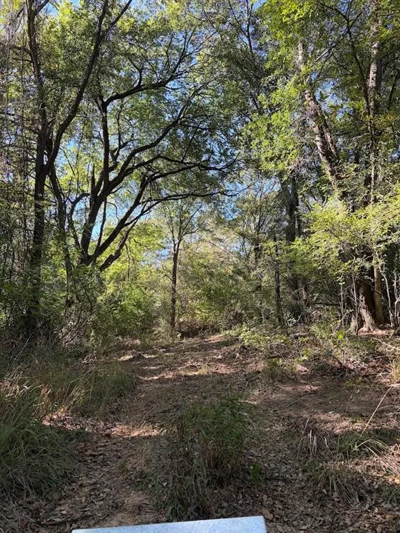 213 North line Road
