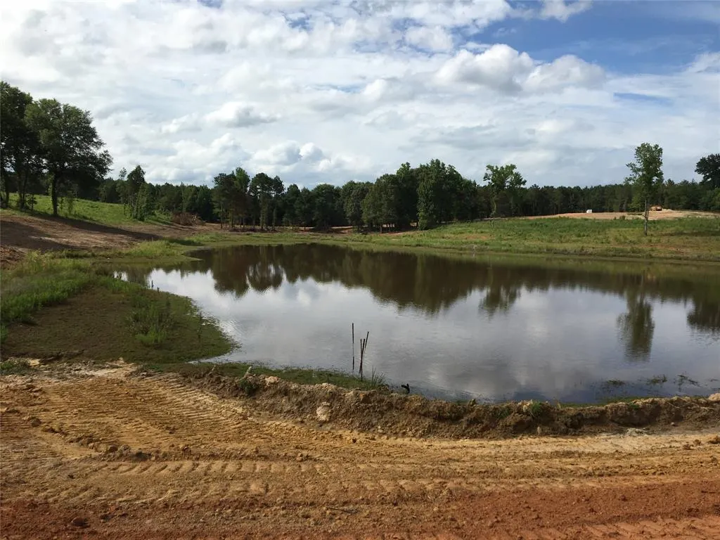 TBD Falcon View