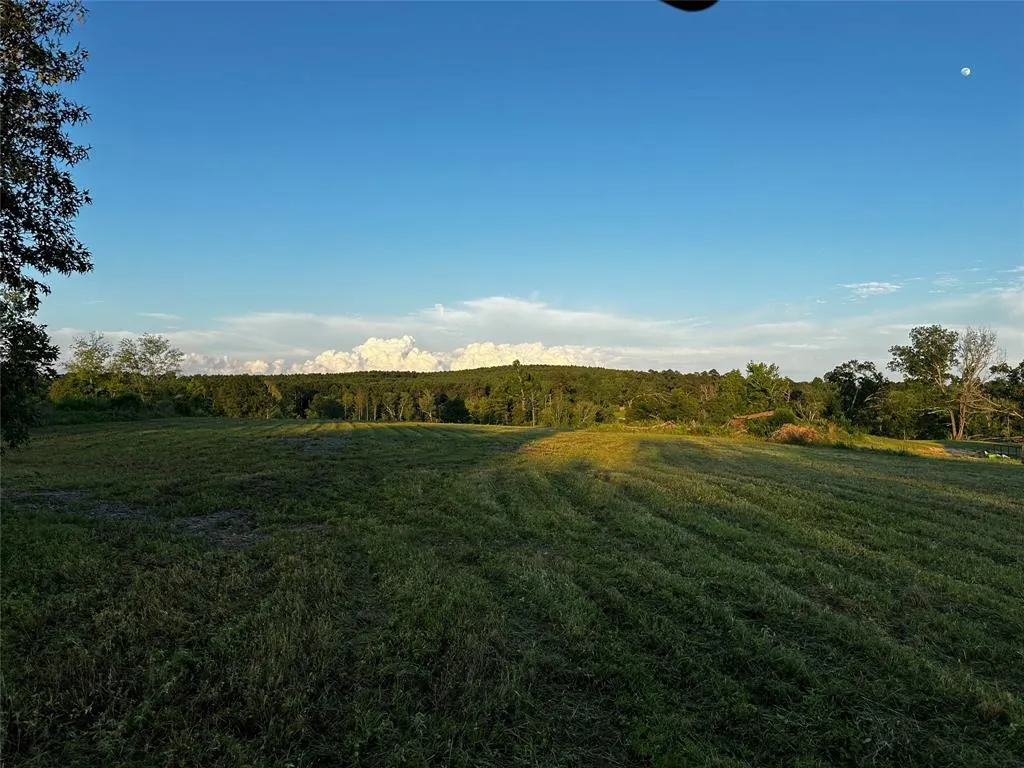 TBD Falcon View