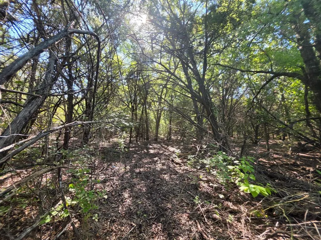 8560 Tuscany Hills Court