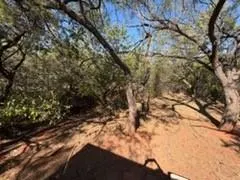 126 Lonesome Dove