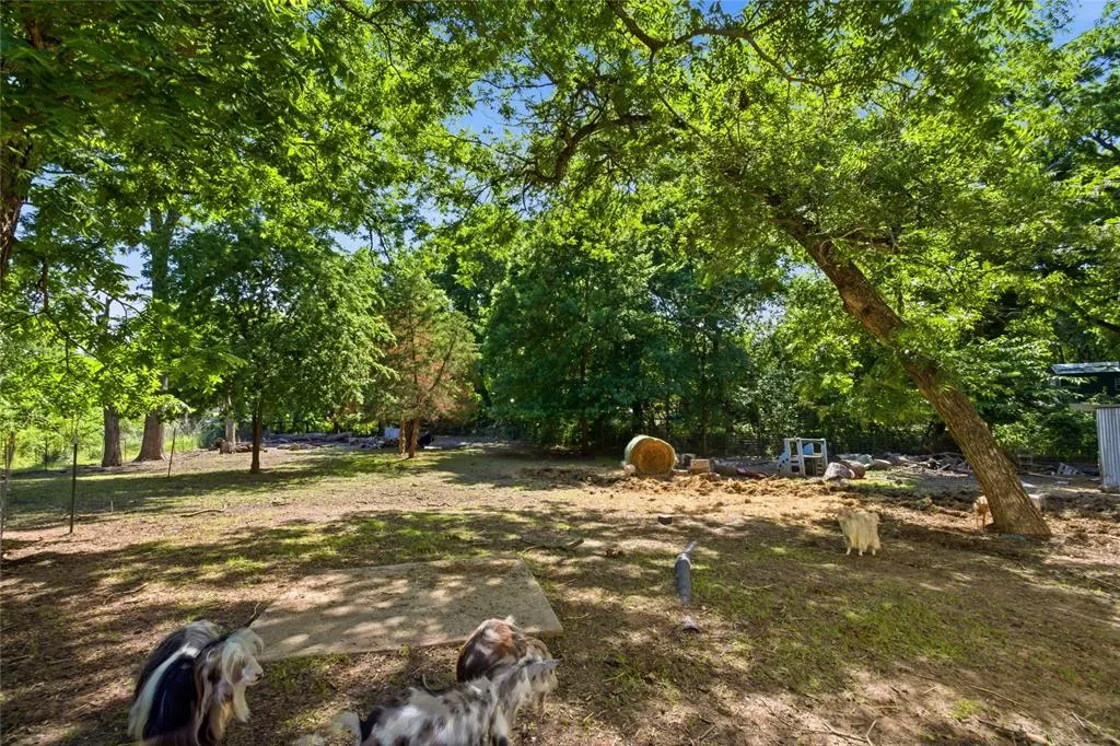 1641 Ben Davis Drive