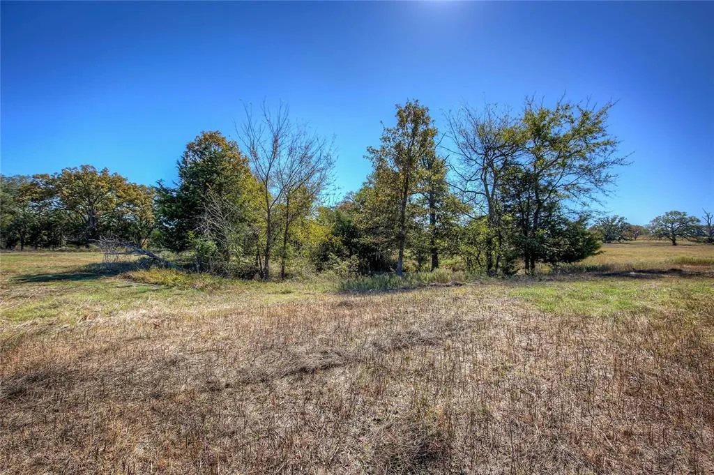 TBD Tract A County Road 1468