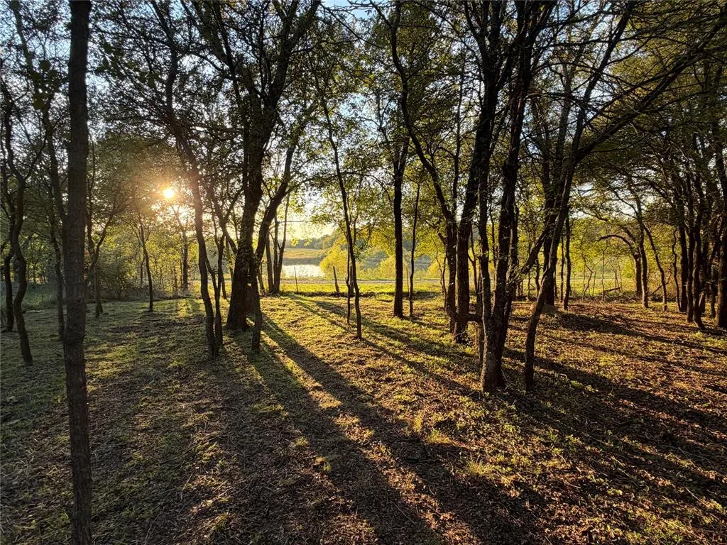570 County Road 4856