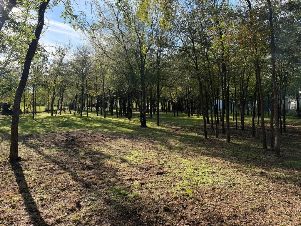 570 County Road 4856