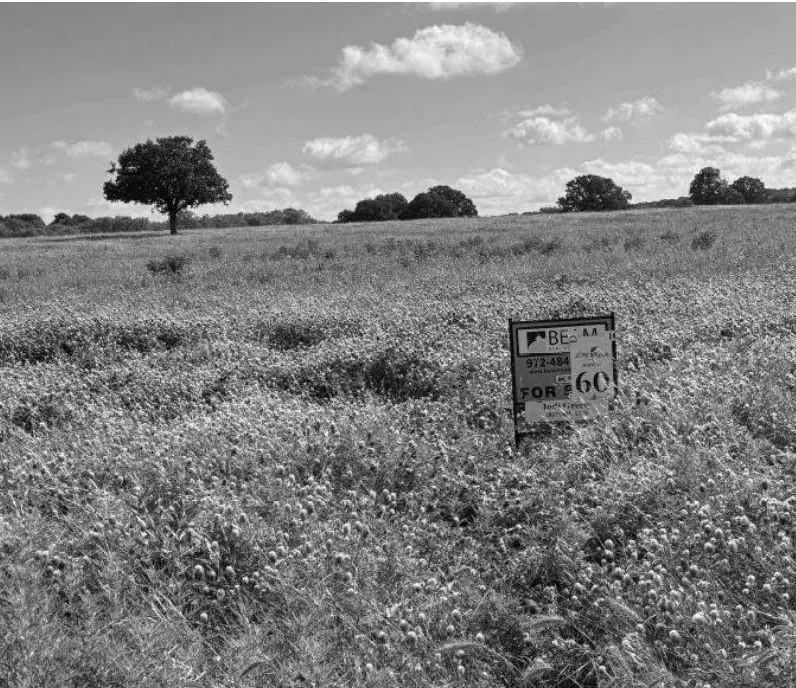 Lot 60 Buffalo Lane