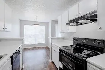 3913 Gannon Lane #211