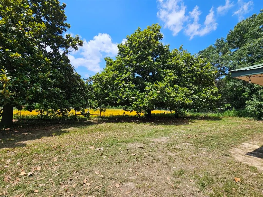 1018 An County Road 2301
