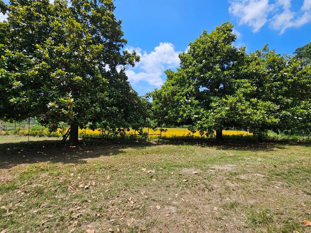 1018 An County Road 2301