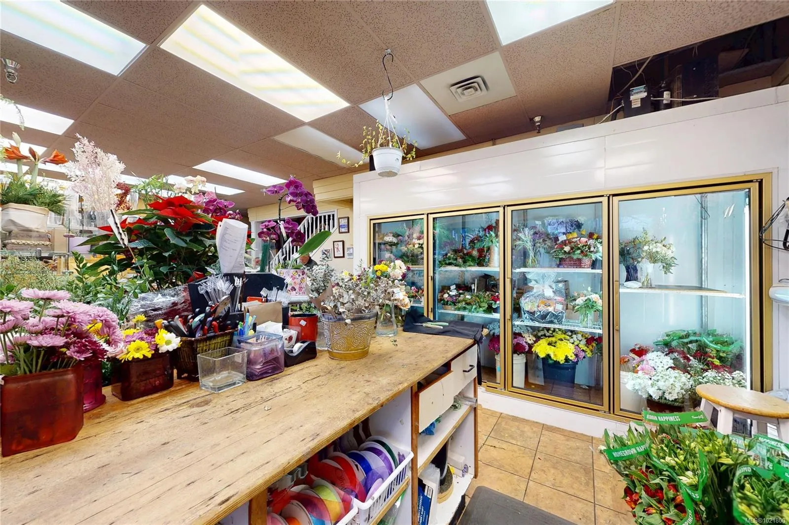 2187 Oak Bay Ave