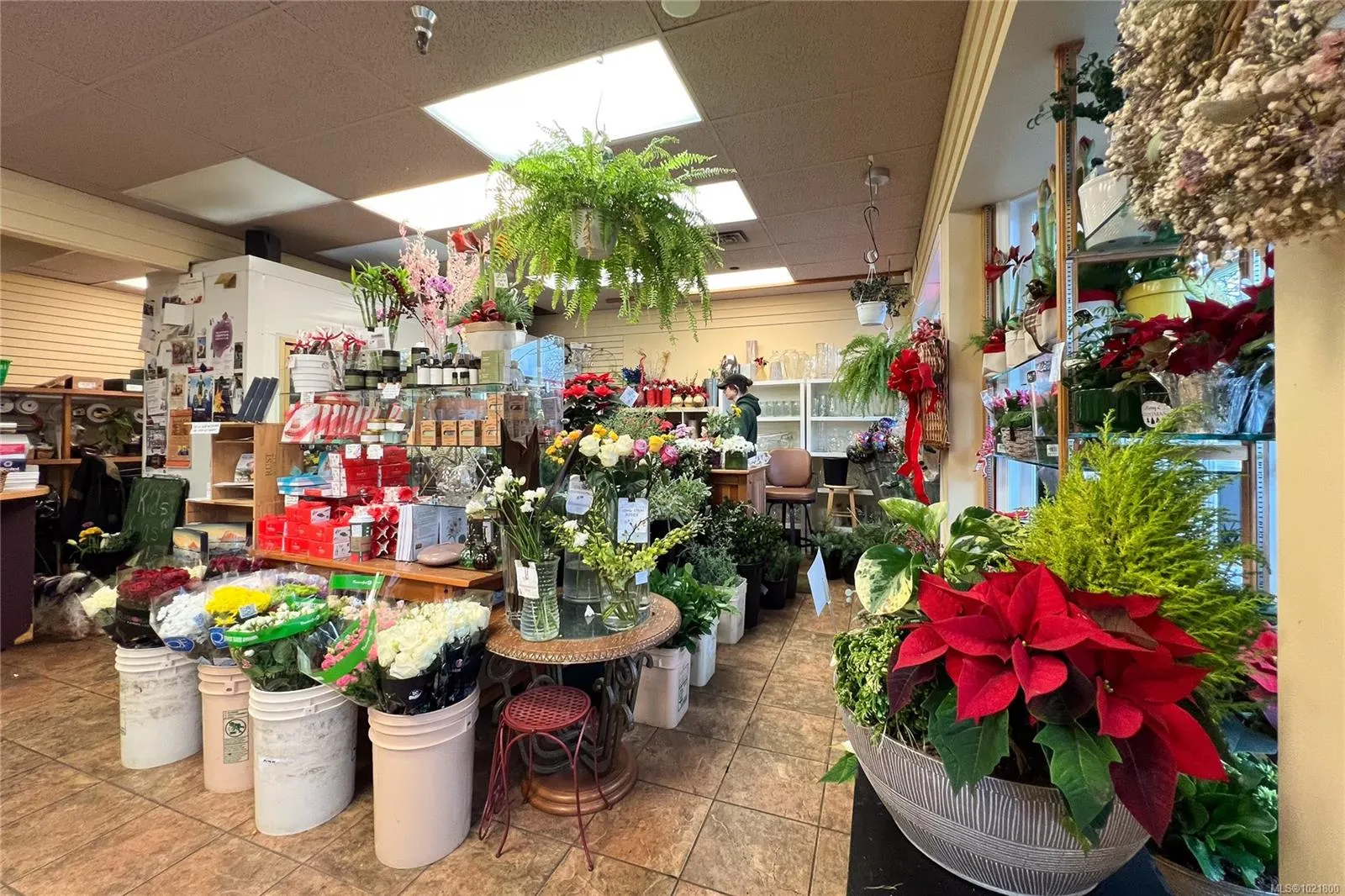 2187 Oak Bay Ave