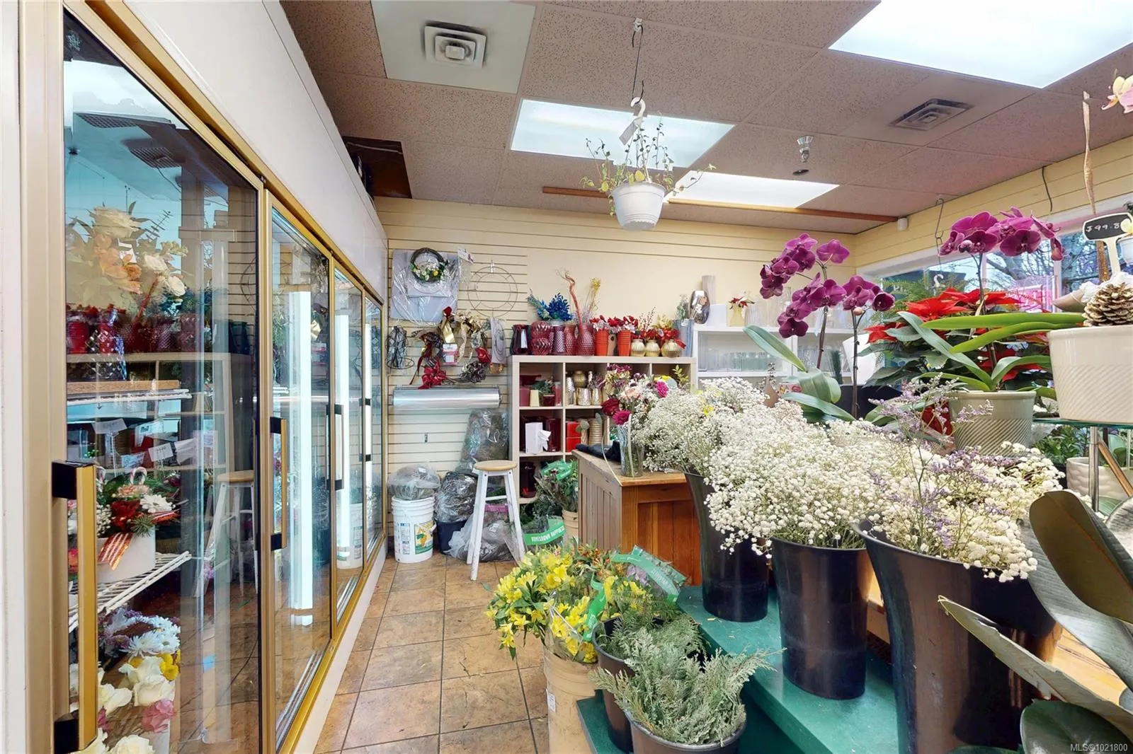 2187 Oak Bay Ave