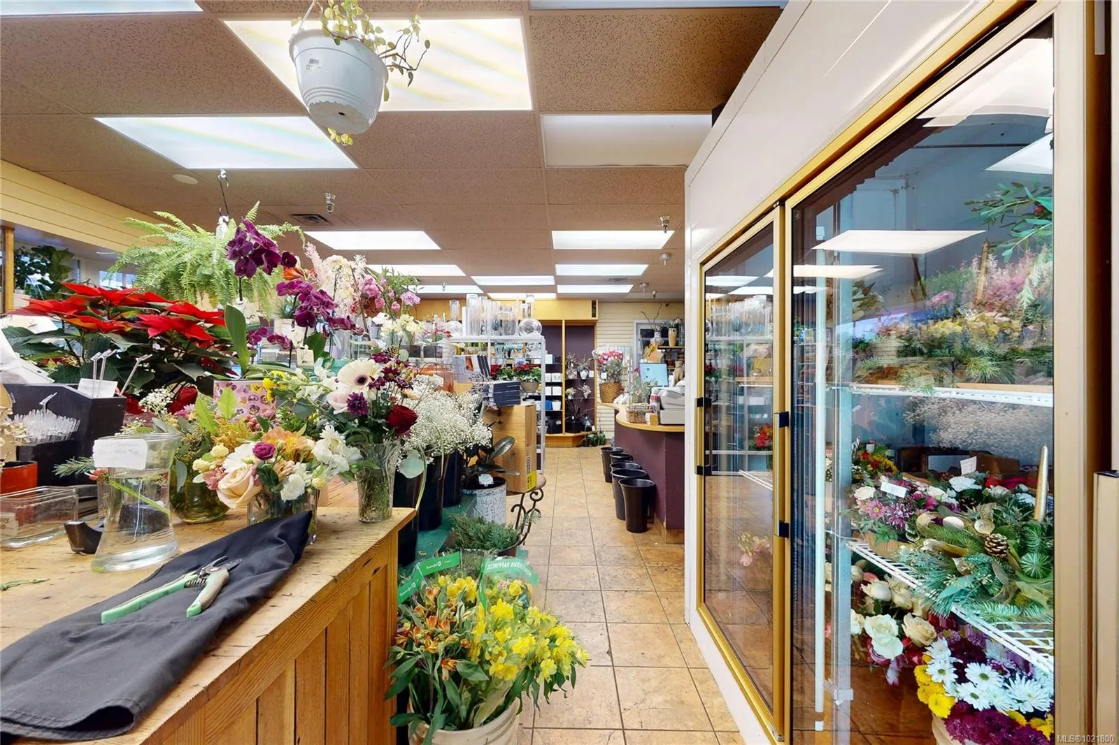 2187 Oak Bay Ave