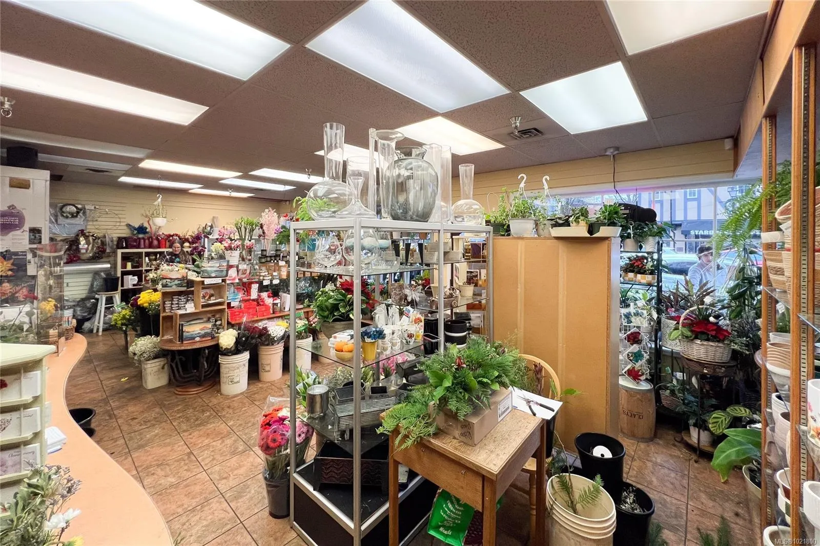 2187 Oak Bay Ave