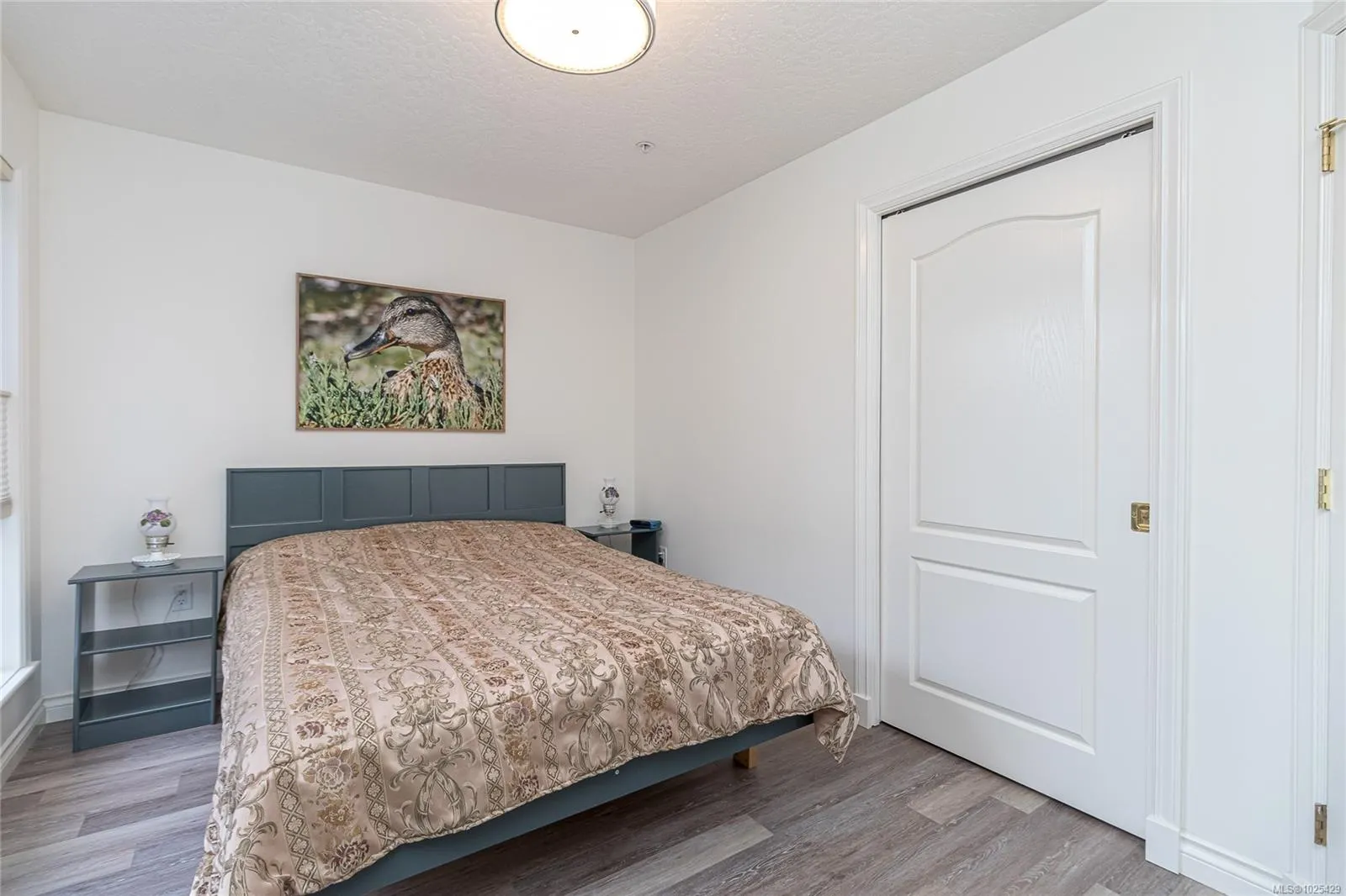 3133 Tillicum Rd