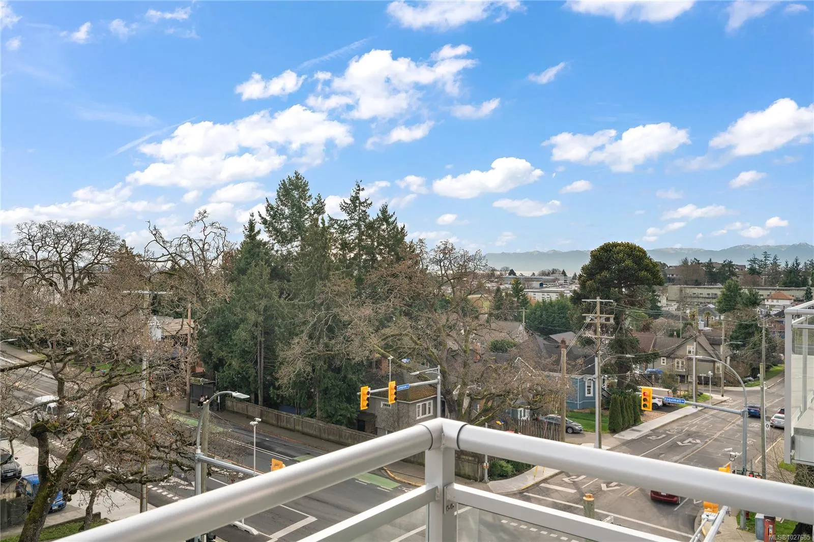 1102 Esquimalt Rd