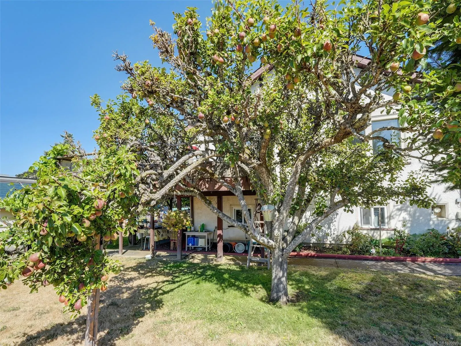8 Camden Ave