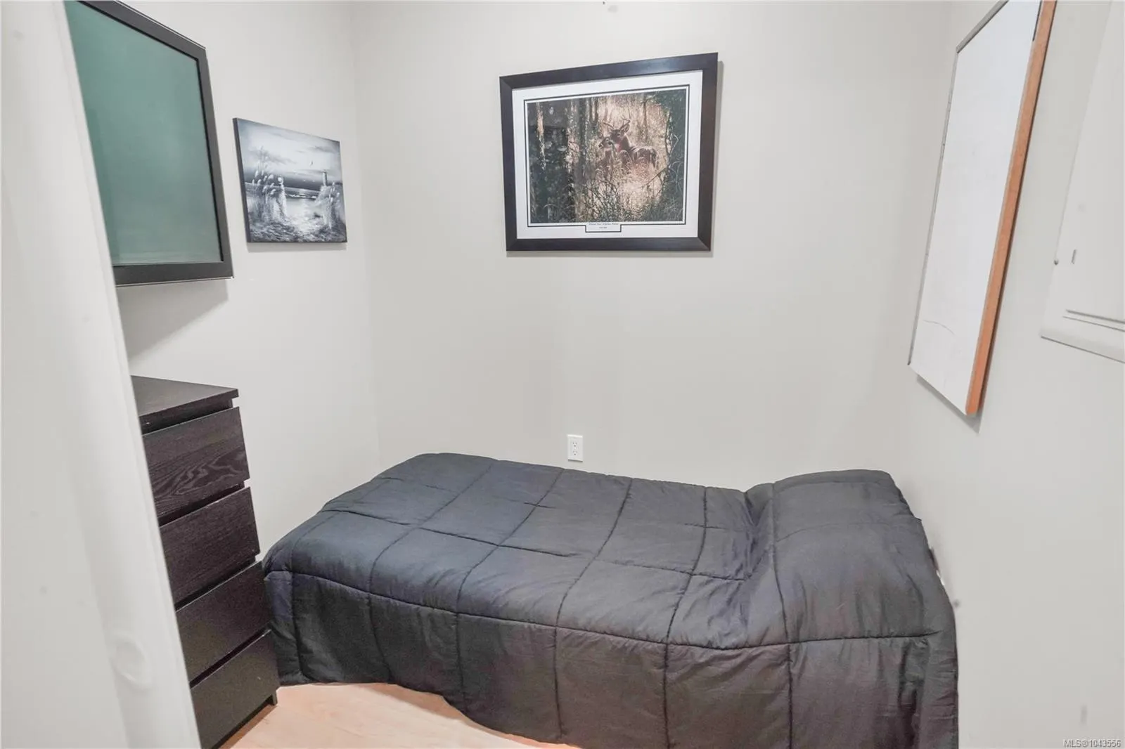 3223 Selleck Way