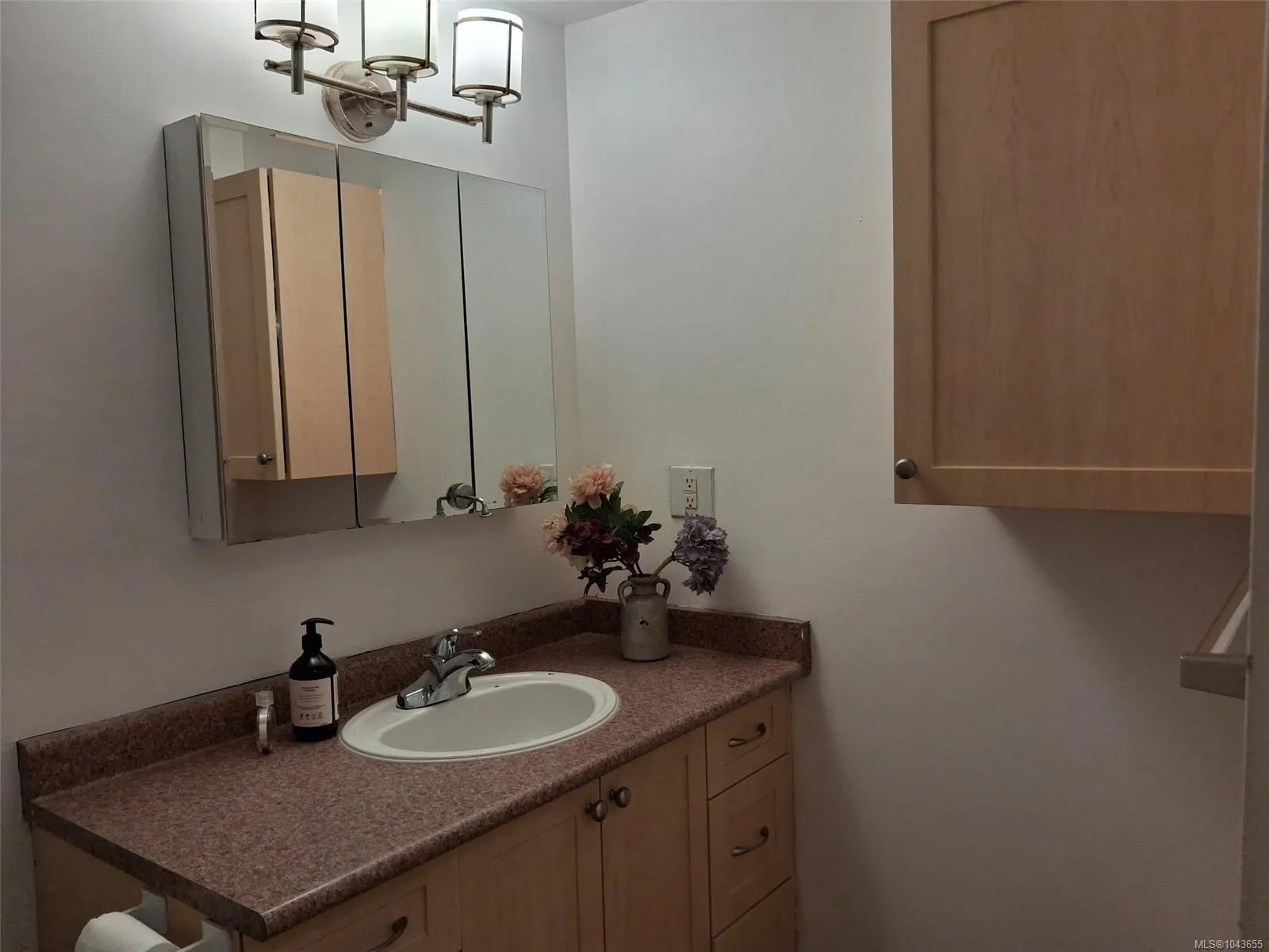 848 Esquimalt Rd