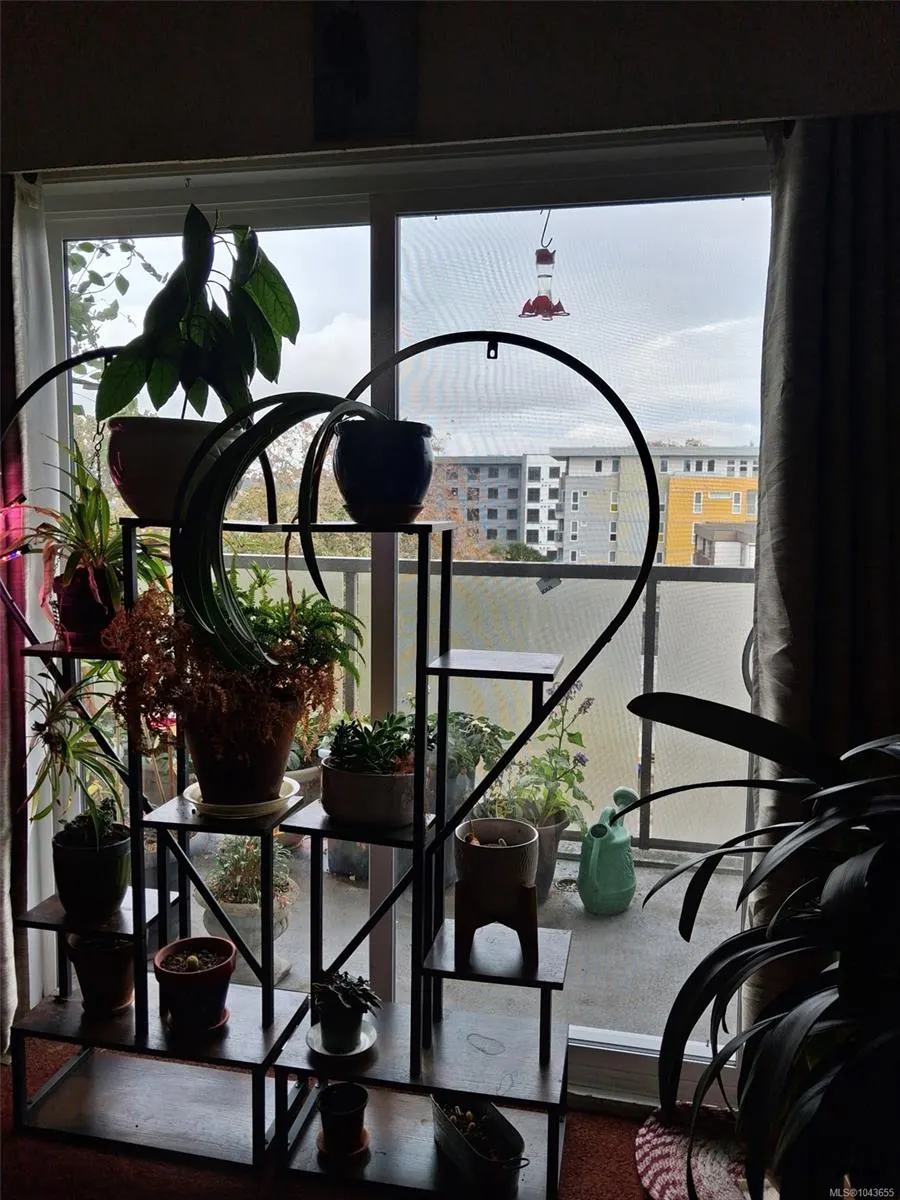 848 Esquimalt Rd