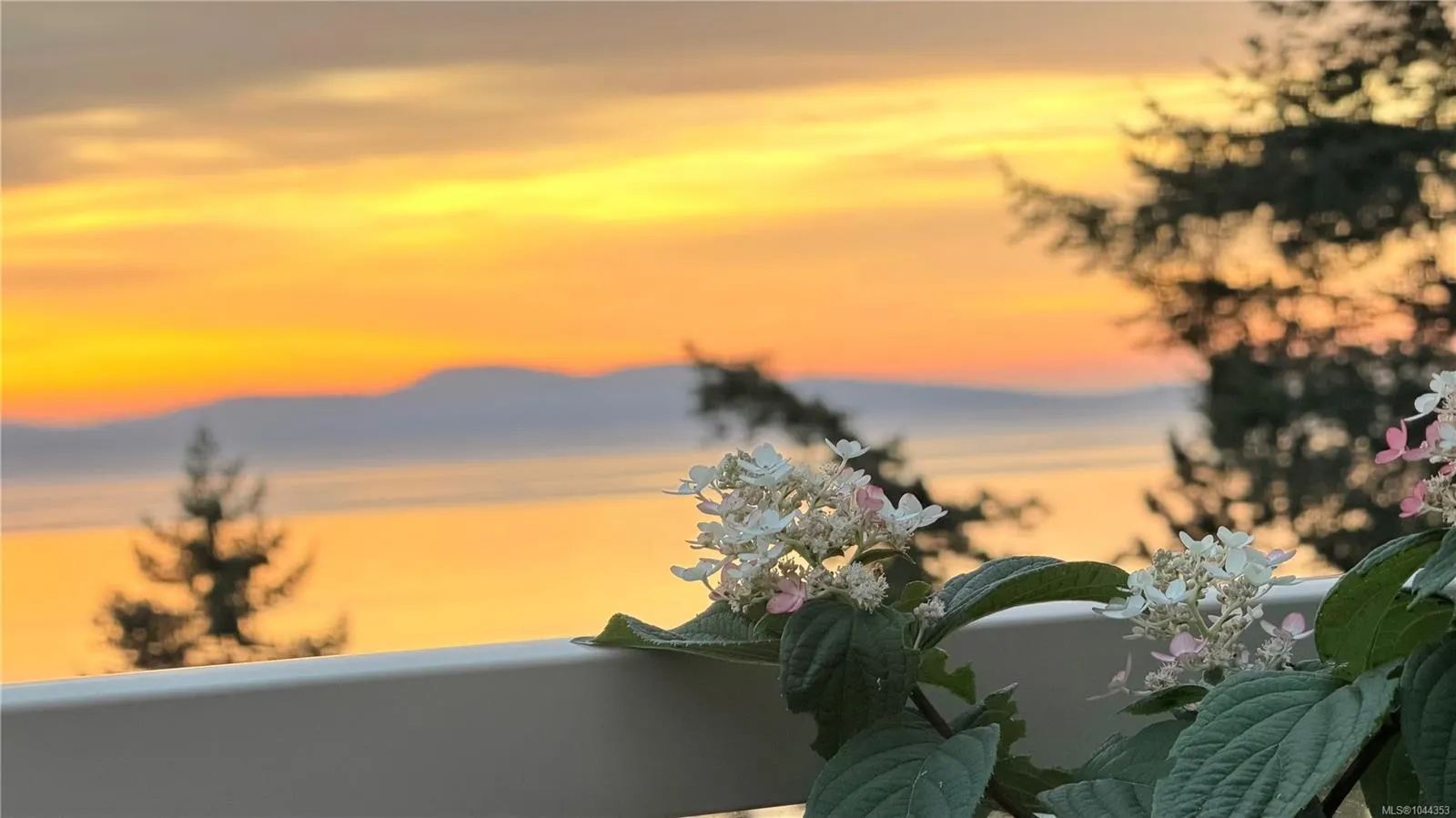 4771 Cordova Bay Rd
