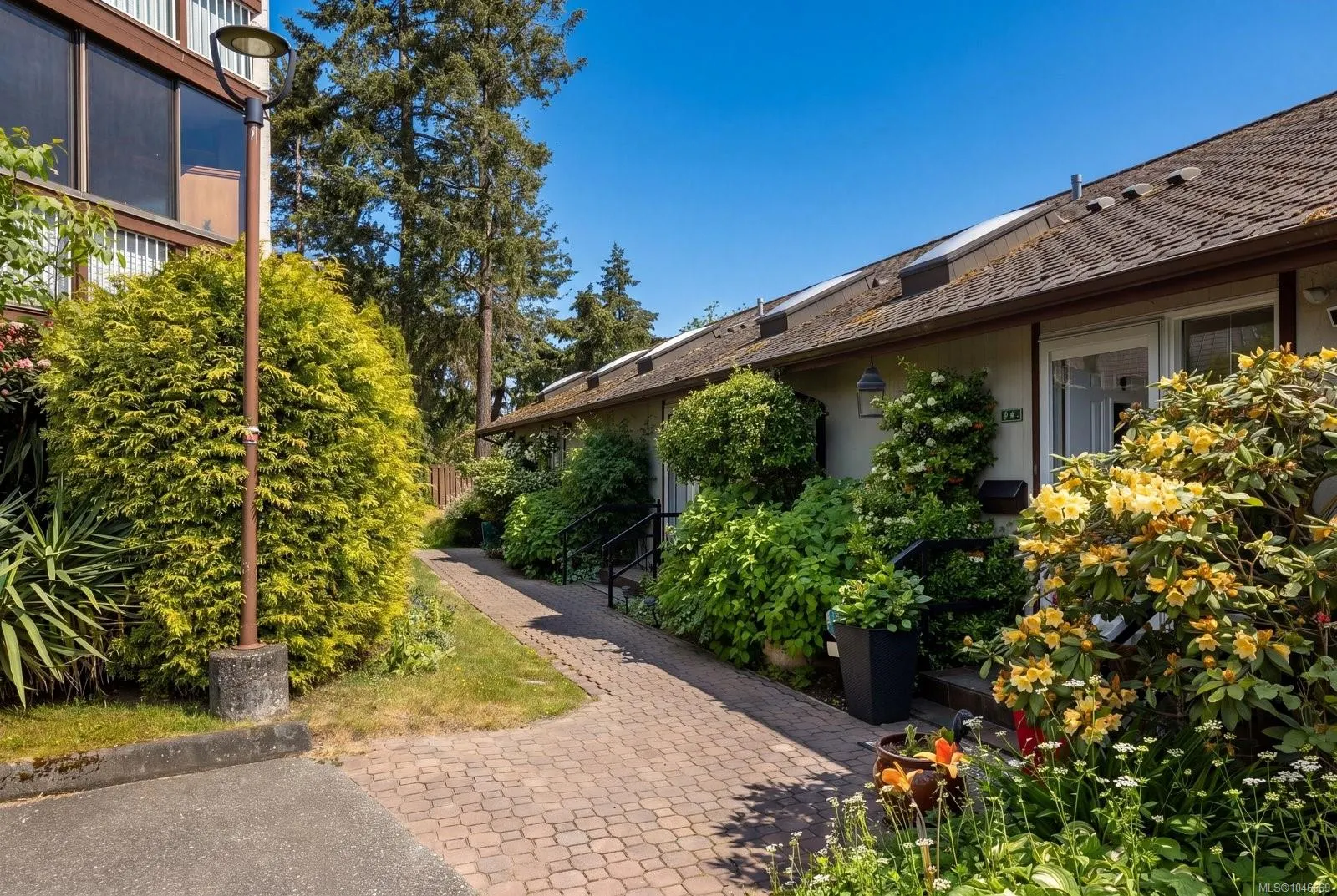 67 Gorge Rd W