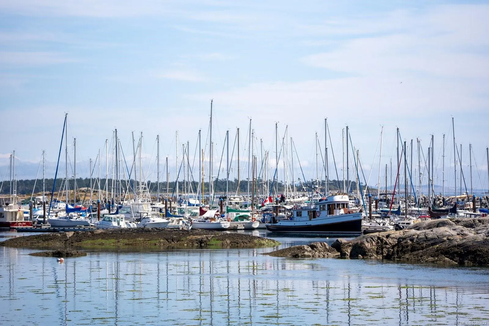2277 Oak Bay Ave