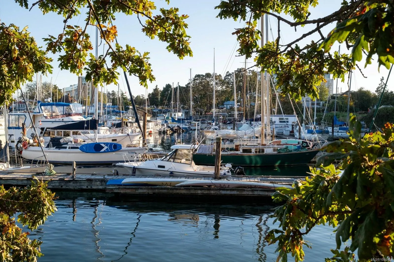 1405 Esquimalt Rd