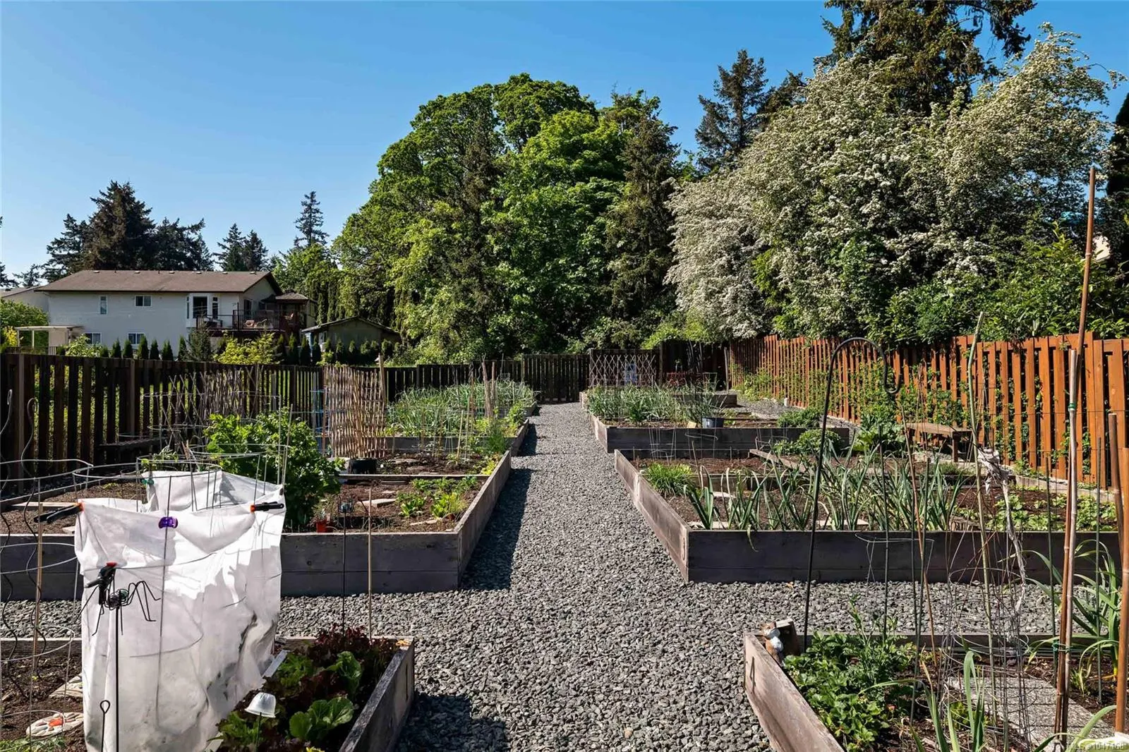 747 Travino Lane