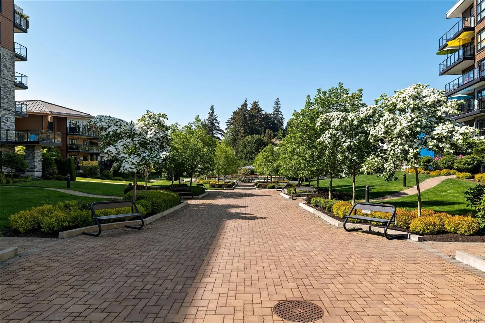 747 Travino Lane
