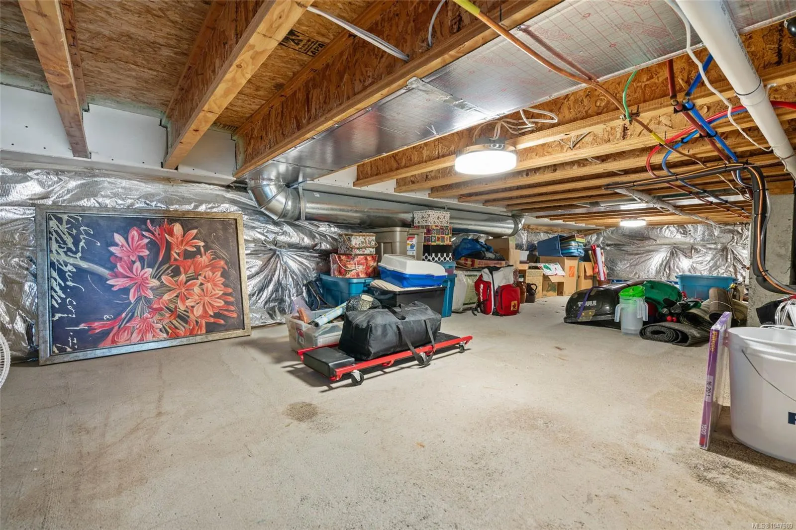 539 Delora Dr