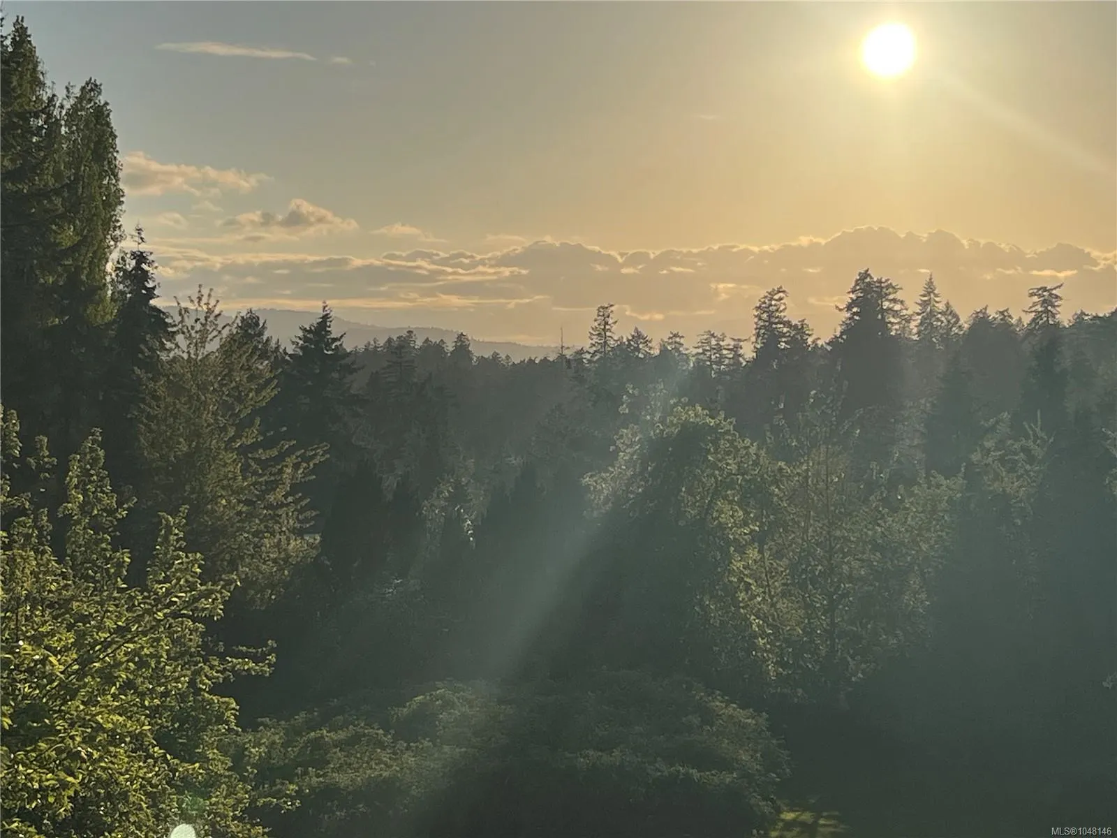 9146 West Saanich Rd