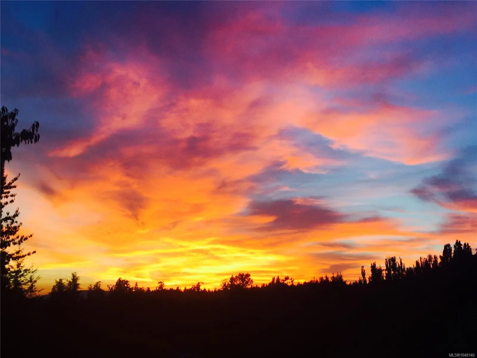 9146 West Saanich Rd