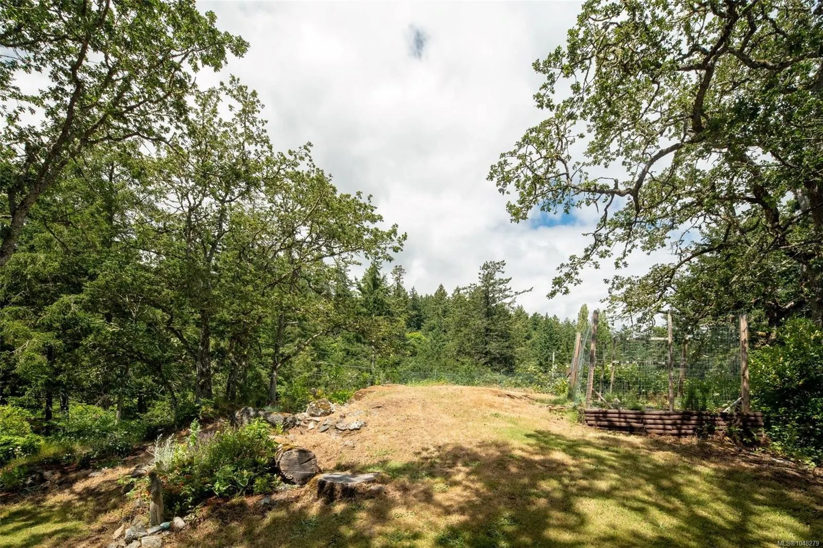 335 Damon Dr