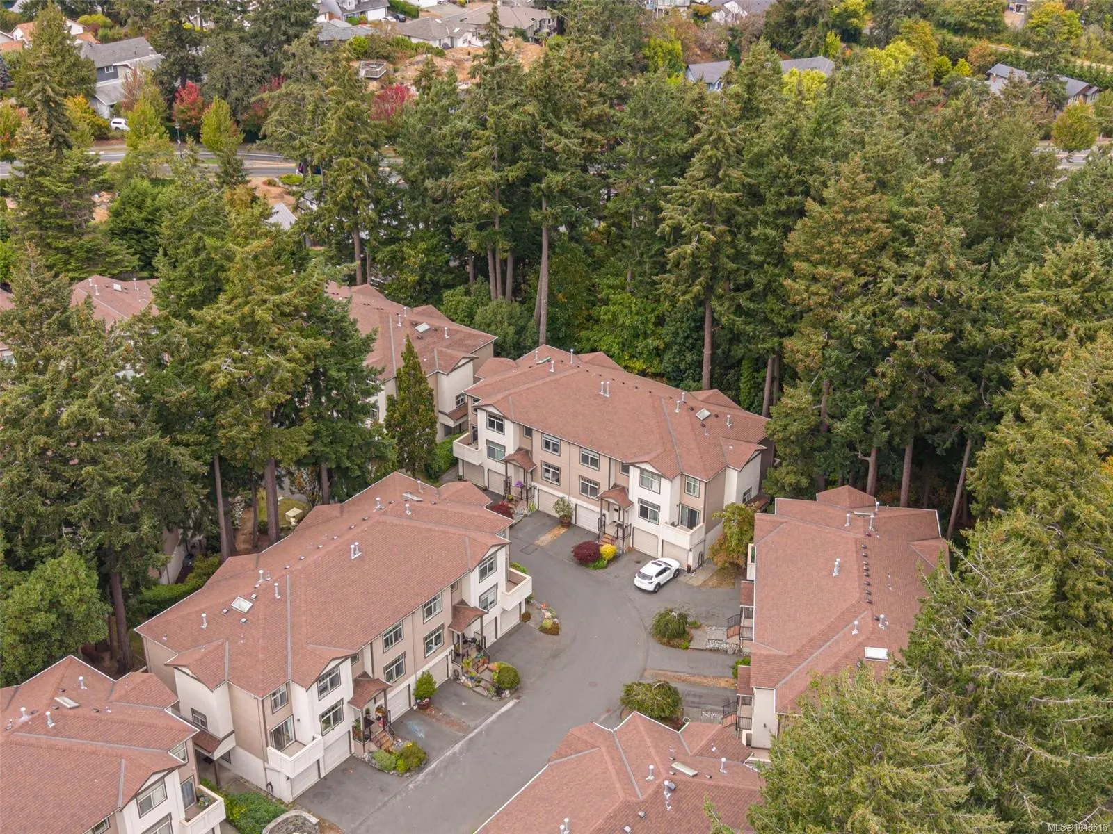 288 Eltham Rd