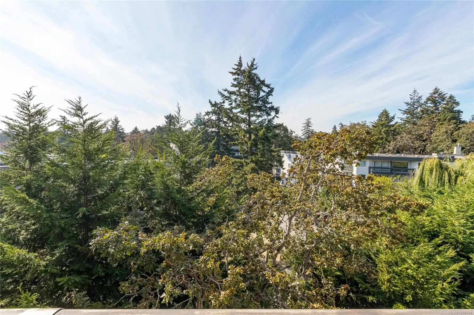 4030 Quadra St
