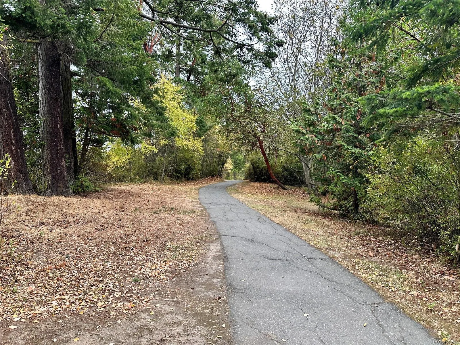 2600 Ferguson Rd