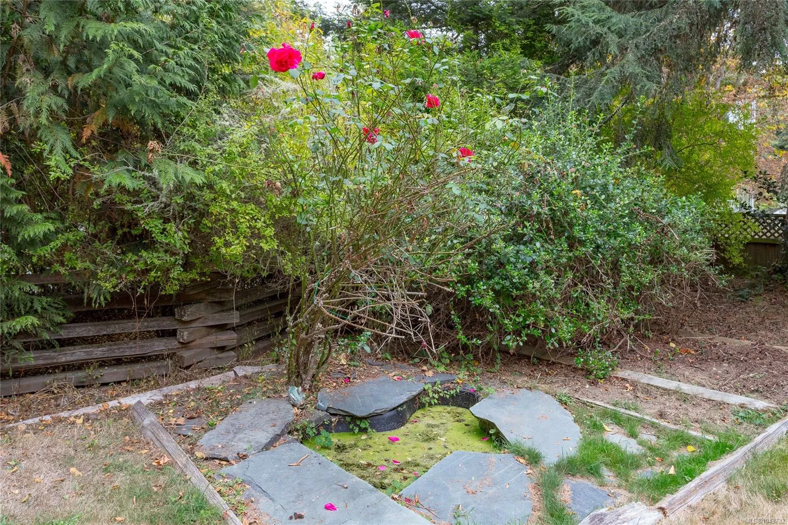 2670 Sooke River Rd