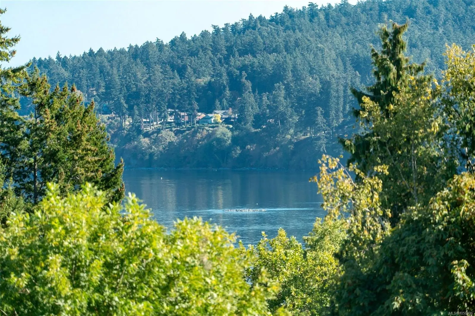 5229 Cordova Bay Rd