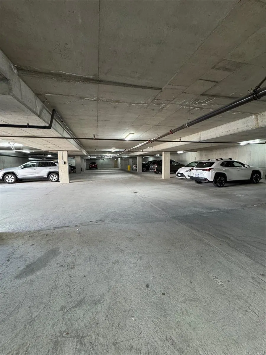 300 Belmont Rd