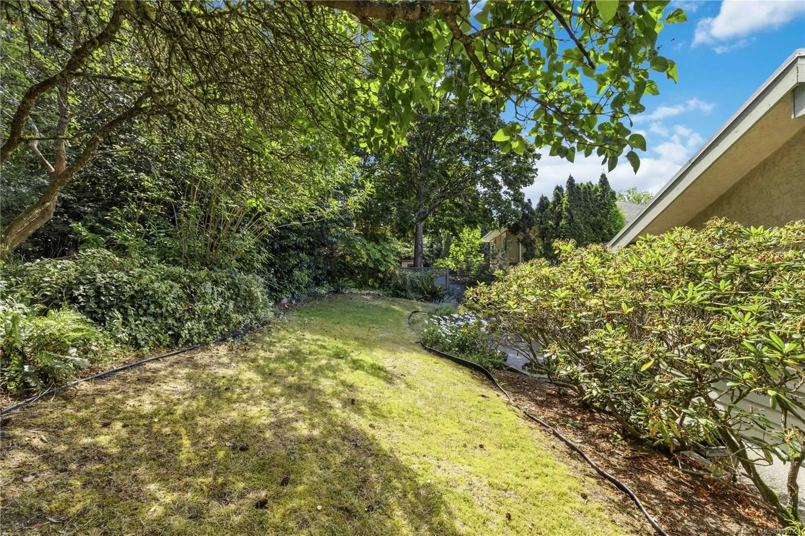 4343 Emily Carr Dr