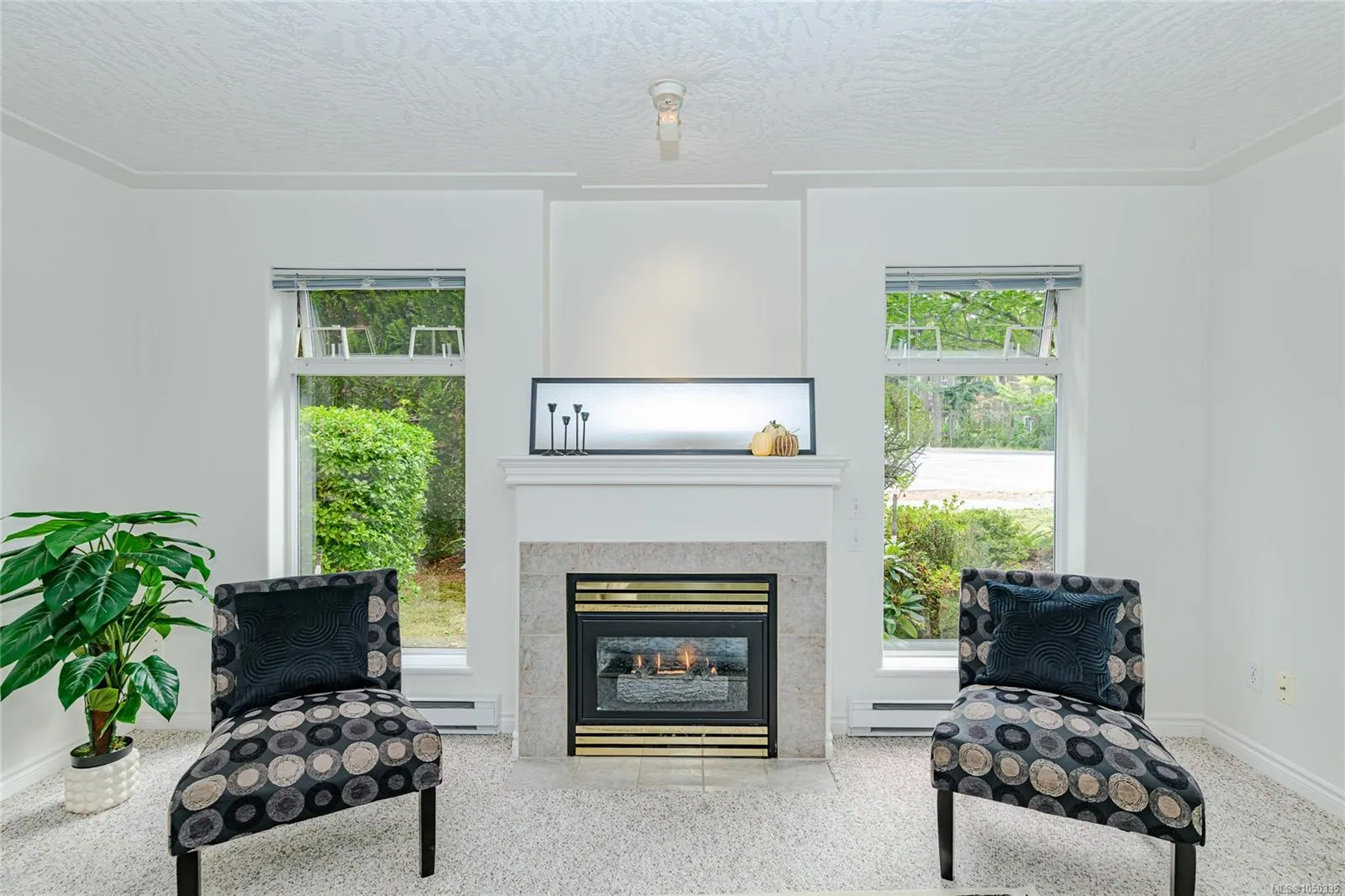 606 Goldstream Ave