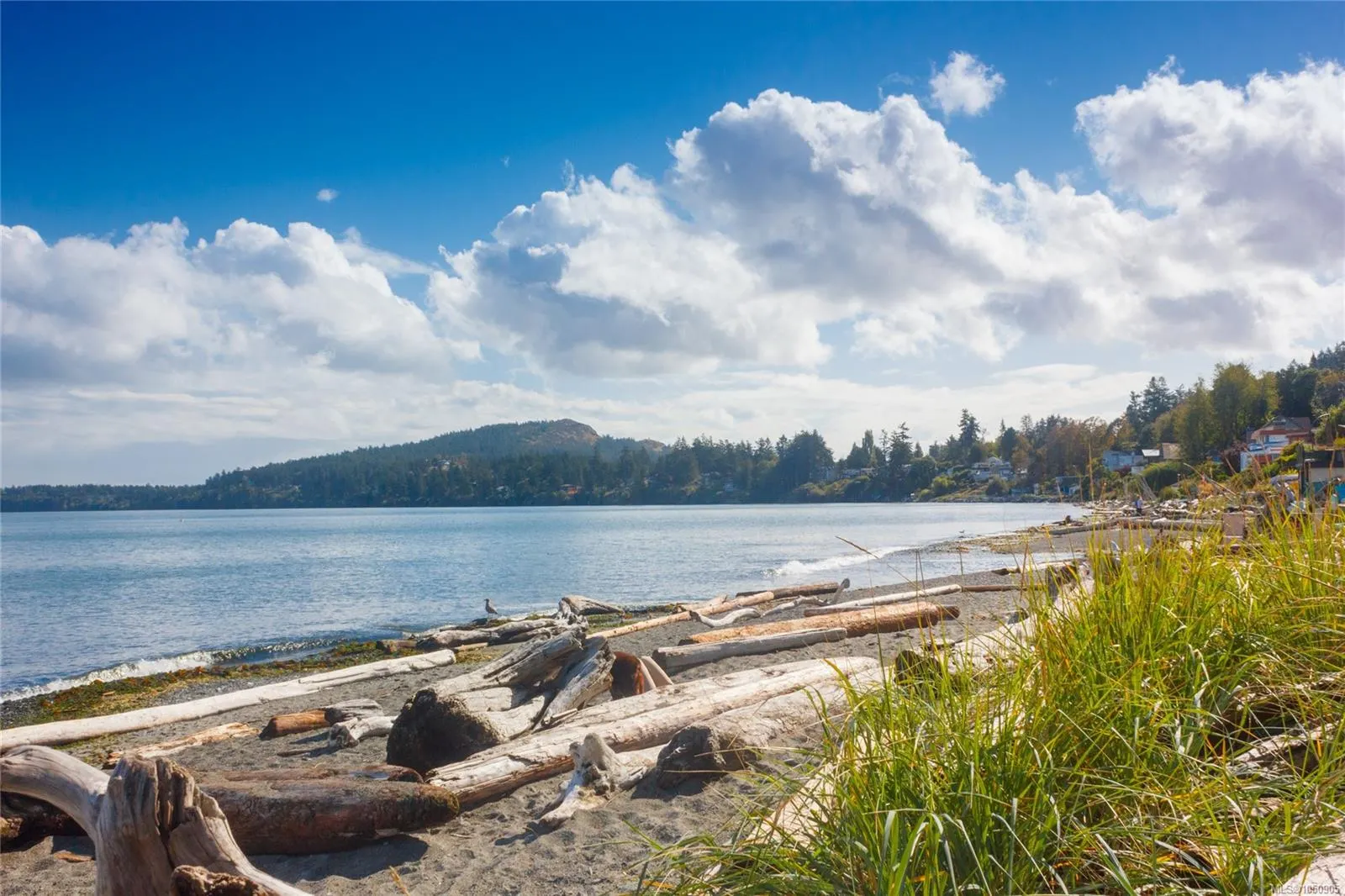 5110 Cordova Bay Rd