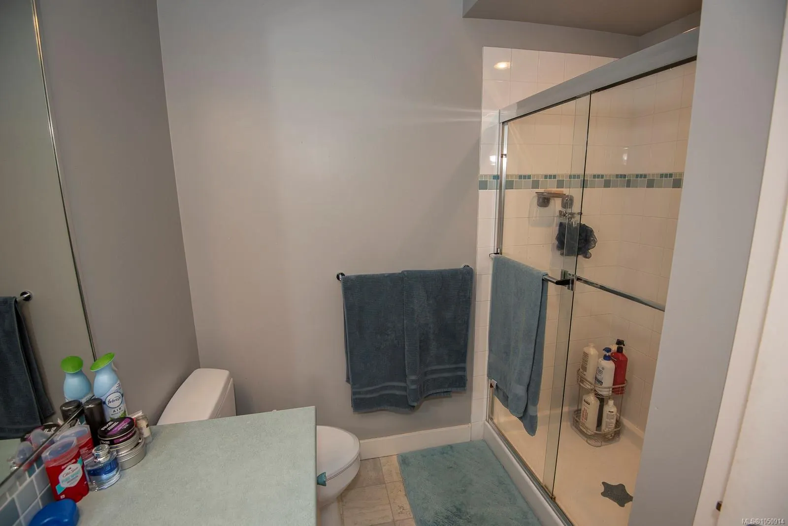 1115 Craigflower Rd