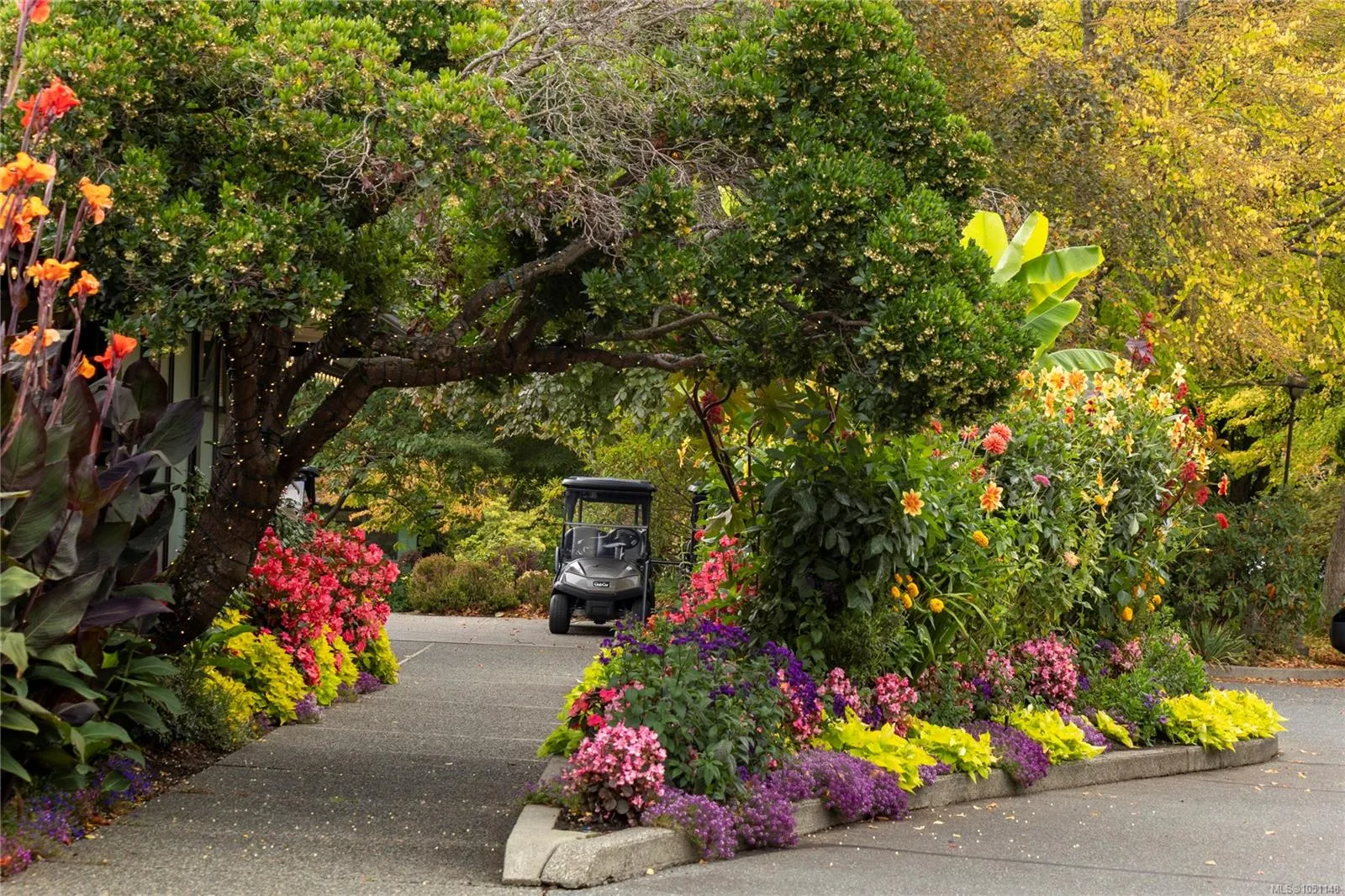 5329 Cordova Bay Rd